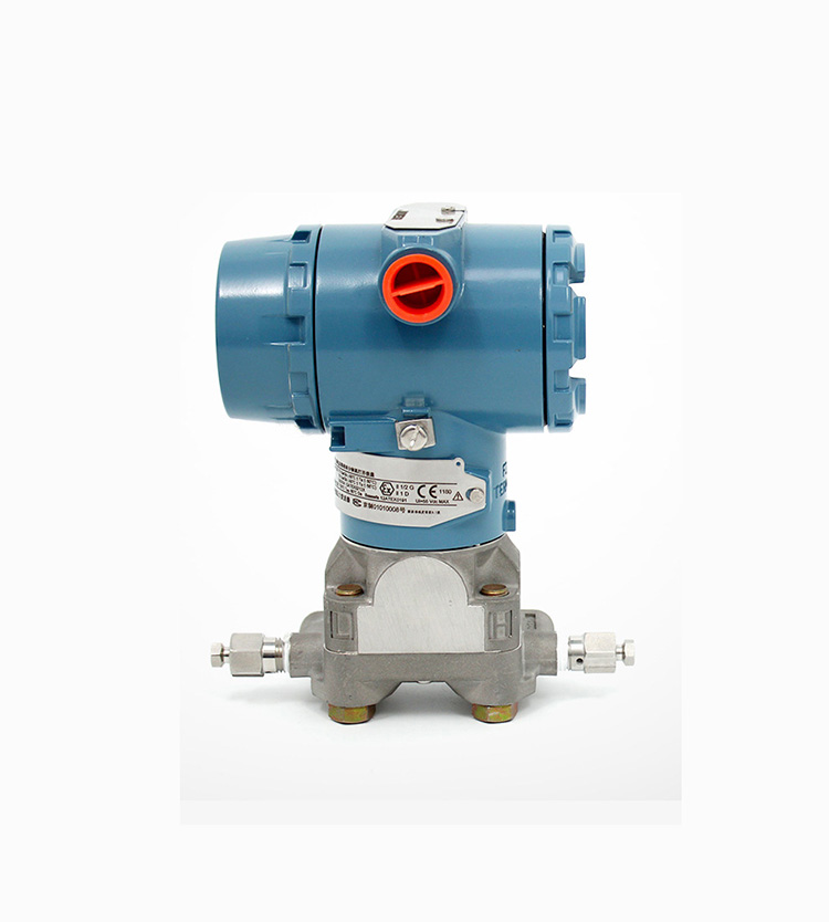 <b>罗斯蒙特3051GP选型说明</b>